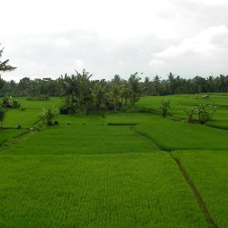 กรีนฟิลด์ อูบุด Hotel ภายนอก รูปภาพ