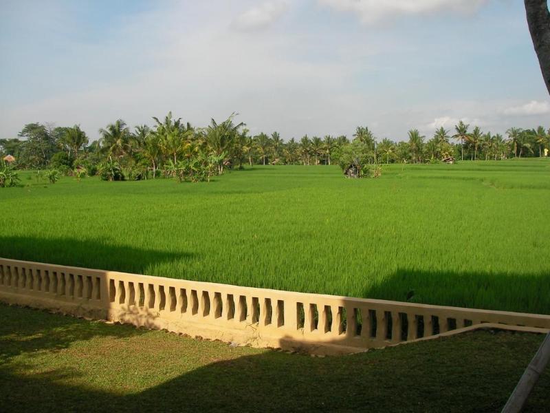 กรีนฟิลด์ อูบุด Hotel ภายนอก รูปภาพ