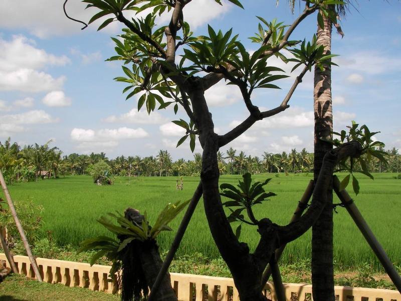 กรีนฟิลด์ อูบุด Hotel ภายนอก รูปภาพ